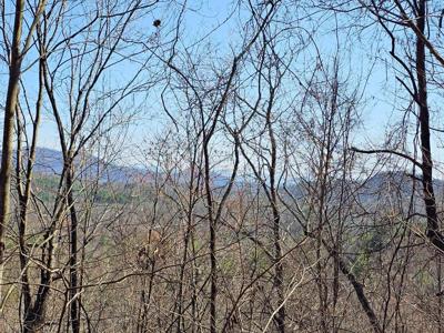 Lot 39 Merlin Trail/Warbler Road
