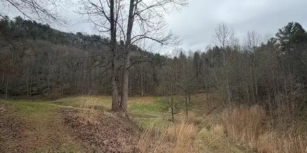 9.89 ac Patterson Lane