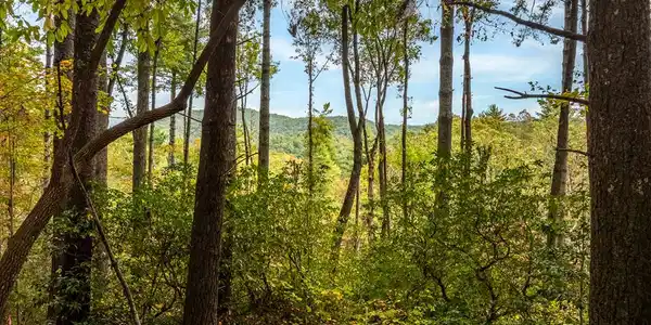 Lot 1 Chief Whitetails Road