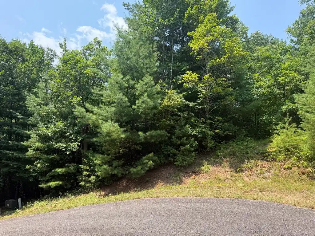 Image 1: Main View