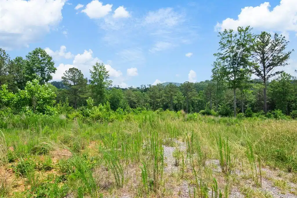 Image 1: Main View