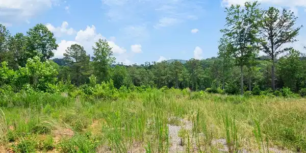 Lot 196 Oak Park Drive