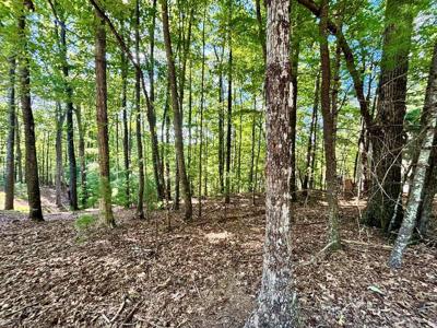 .55 AC Pine Ridge Road
