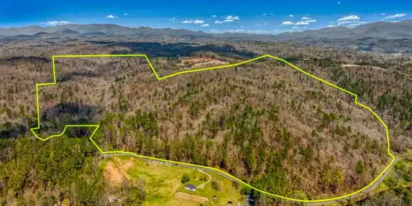 Image 2: 241 Acre Tract w/ Views Ellijay GA