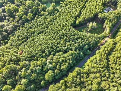Lot 31 Foxpaw Leaf Lane