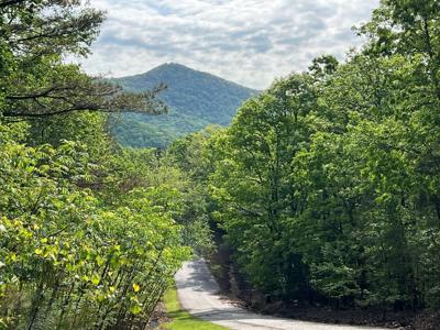 Lot 25 Loftis Mountain