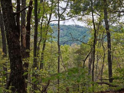 Lot 20 Crabapple Lane