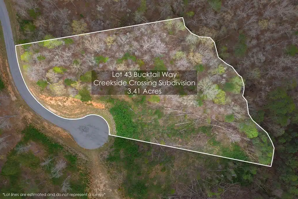 Image 1: Main View