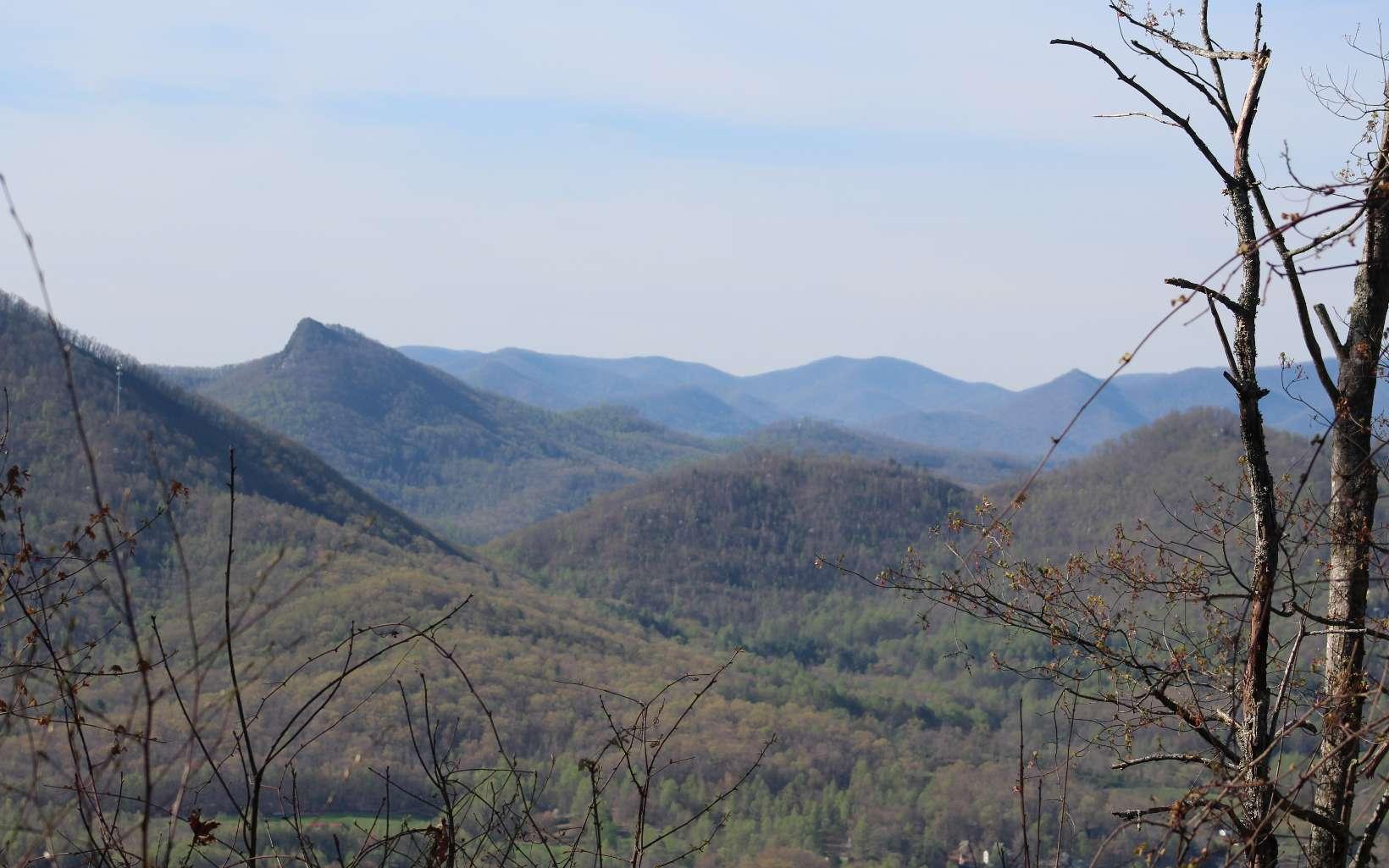 Image 2: Additional View