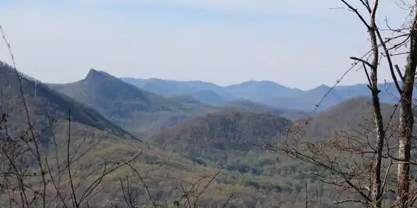 Image 2: Additional View