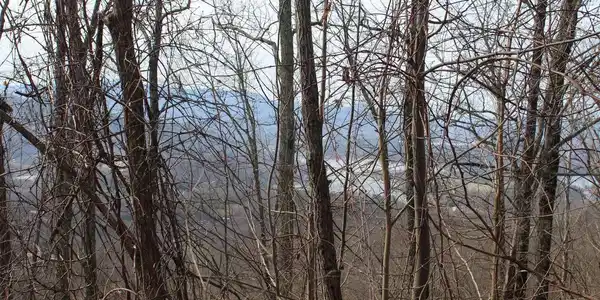 Image 3: Additional View