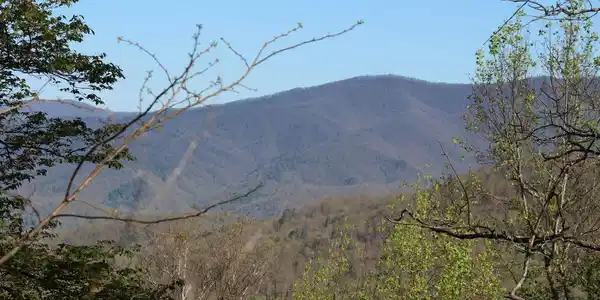 Image 4: Additional View
