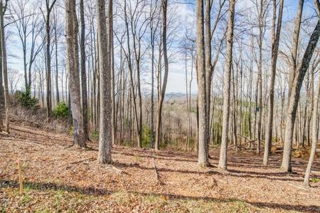 Lot 40 Winding Ridge