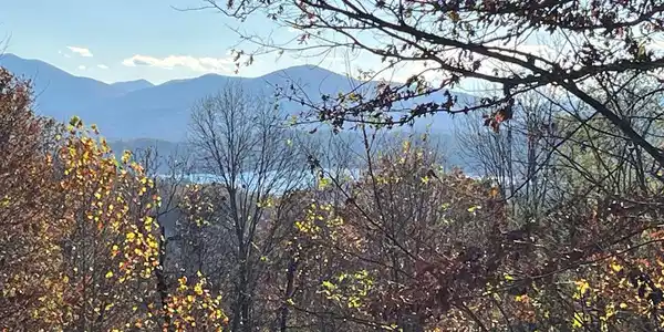 41 42 43 Ridges Overlook