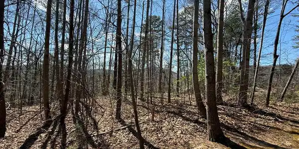 Lot 105 Lancelot Loop