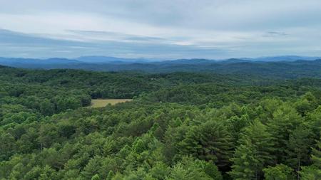 Choctaw Ridge Trail