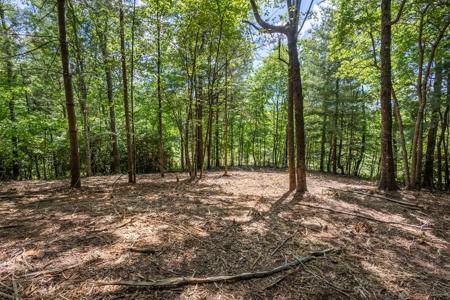 4.2 acre Donley Road
