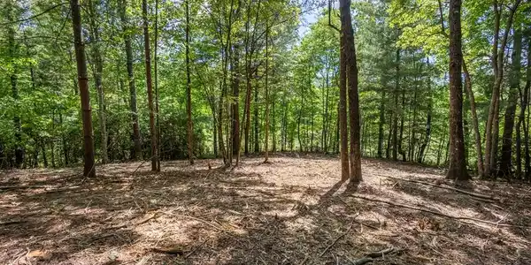 4.2 acre Donley Road