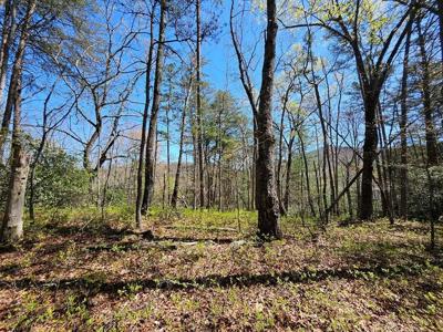 5.2 Deer Crest Road