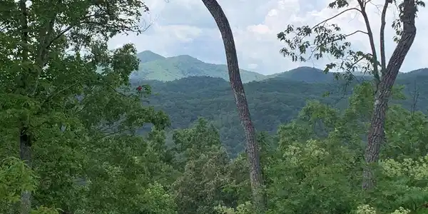 44 & 45 Silo View