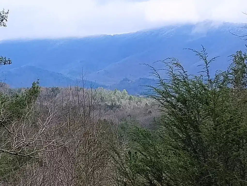 Image 1: Main View