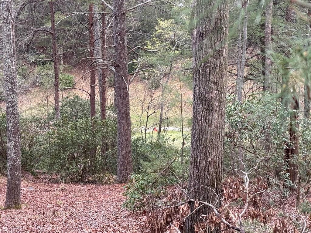 Image 1: Main View