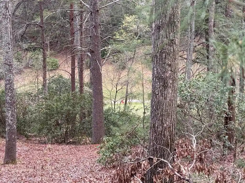 Image 1: Main View