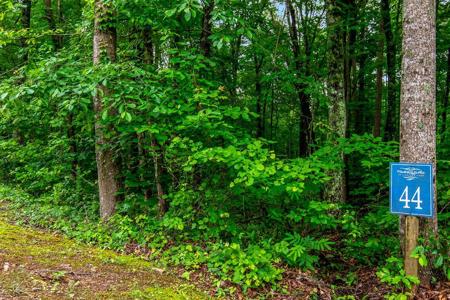 Lot 44 Harris Creek Drive