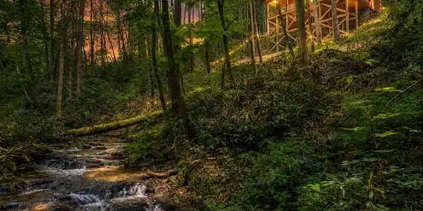 122 Laurel Creek Trail