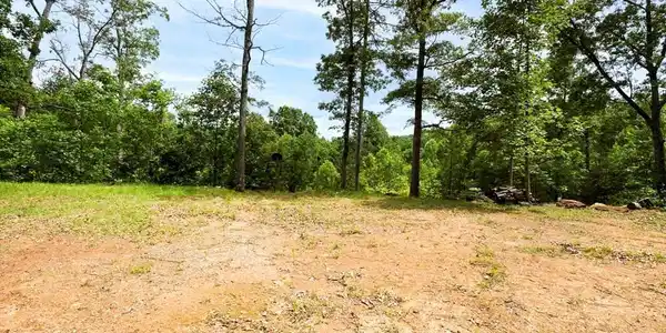 62 Green Cove Spur