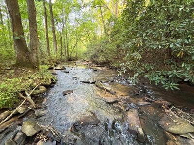 Lot 6 Mt. Springer Road