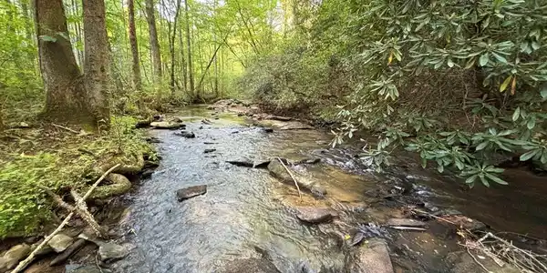Lot 6 Mt. Springer Road