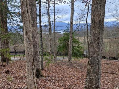 1.58 AC Chatuge Shores Circle