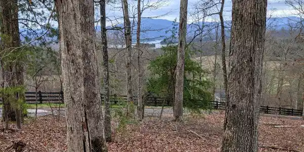 1.58 AC Chatuge Shores Circle