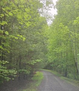 Lot 14 Noontootla Ridge Court