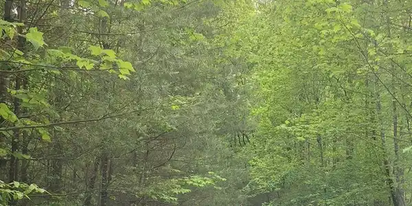 Lot 14 Noontootla Ridge Court