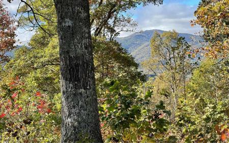 Lot 18 Harris Ridge Road