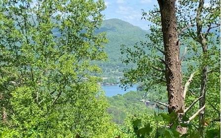 Lot 8 Hidden Summit Road