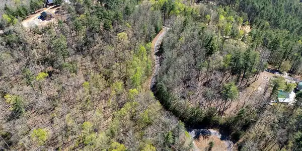 Laurel Trail