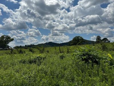 Lot 4 Chatuge Shores Overlook