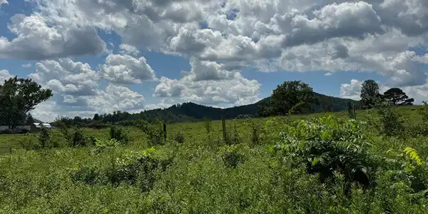 Lot 4 Chatuge Shores Overlook