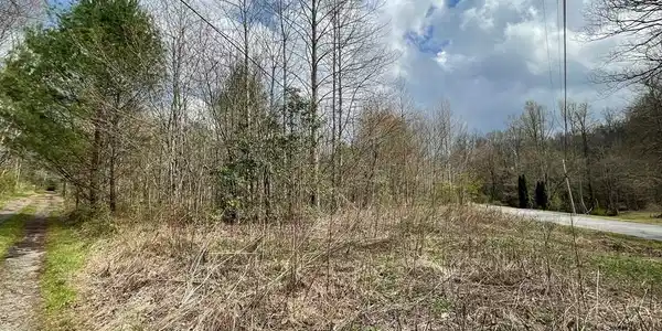 12.1 AC Laurel Branch Road