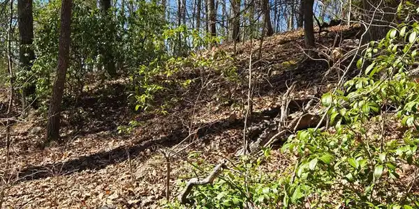 Off Mountain Ridge Road