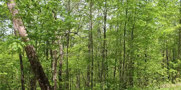 Image 3: Additional View