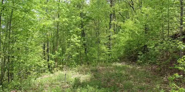 Image 4: Additional View