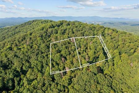 Lot 4-5 Firetower Road