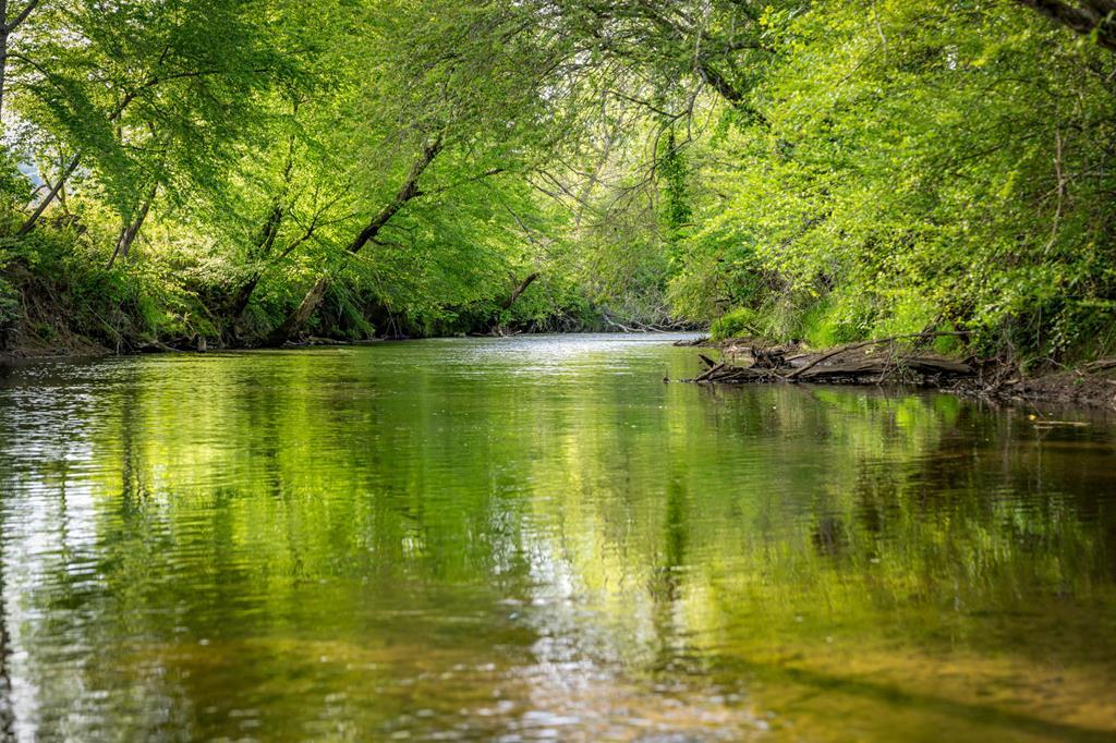 Image 3: Ellijay River Frontage & River Access