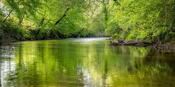 Image 3: Ellijay River Frontage & River Access