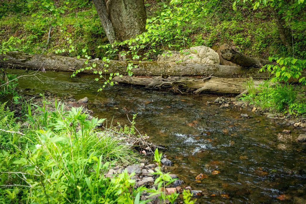 Image 4: 61 Creek runs throughout the property