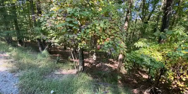 L811 Myna Drive
